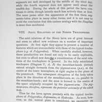 0065 - Page 426 - VIII. Axial Relations of the Nereis Trochophore