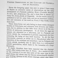 0095 - Page 456 - Appendix. Further Observations on the Cleavage and Gastrulation of Polychaeta