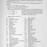 0102 - Page 463 - Lettering of the plates
