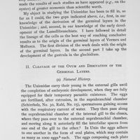 0005 - Page 5 - II. Cleavage of the ovum and derivation of the germinal layers