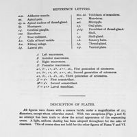 0089 - Page 89 - Reference letters. Description of plates