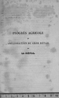 0001 - Page sans numérotation - [Page de faux-titre]
