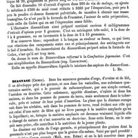 0214 - Page 210 - Diarrhodon [Amédée Dechambre] / Diascordium [L. Hahn] / Diastase (Chimie) [Malaguti]