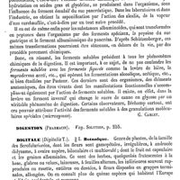 0414 - Page 410 - Digestion. Influence du système nerveux [G. Carlet] / Digestion (Pharmacie). Voy. Solution / Digitale / Botanique [H. Baillon]
