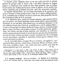 0416 - Page 412 - Digitale. Botanique [H. Baillon] (bibliographie) / Emploi médical [Fonssagrives]