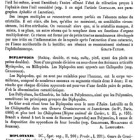0732 - Page 728 - Diplopie [Giraud-Teulon] / Diplopodes [A. Laboulbène] / Diplotaxis [H. Baillon]