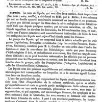0733 - Page 729 - Diplotaxis [H. Baillon] (bibliographie) / Dipnés [H.-E. Sauvage]