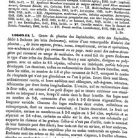0117 - Page 113 - Dodoens of Doodezoon (Rembert) [L. Hahn] (bibliographie) / Dodonaea [H. Baillon]