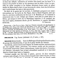 0364 - Page 360 - Dolichotis [E. Oustalet] (bibliographie) / Doliolum. Voy. Salpes / Dolium [Ed. Lefèvre]