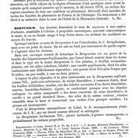 0417 - Page 413 - Dorvault (François-Laurent-Marie) [L. Hahn] / Dorycnium [G. Planchon] (bibliographie) / Doryphore / Botanique [G. Planchon]