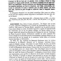 0418 - Page 414 - Doryphore. Botanique [G. Planchon] (bibliographie) / Doryphore / Entomologie [A. Laboulbène]