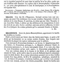 0556 - Page 552 - Dracocéphale [G. Planchon] (bibliographie) / Dracon [L. Hahn] / Dracontium [G. Planchon]