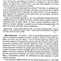 0557 - Page 553 - Dracontium [G. Planchon] (bibliographie) / Dracunculus [G. Planchon]