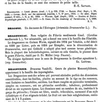 0562 - Page 558 - Dragon [H.-E. Sauvage] (bibliographie) / Dragone [G. Planchon] / Dragonneau [Ed. Lefèvre] / Dragonnier [G. Planchon]