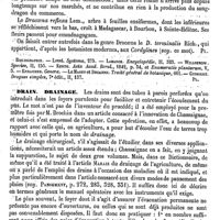 0563 - Page 559 - Dragonnier [G. Planchon] (bibliographie) / Drain, Drainage [Amédée Dechambre]