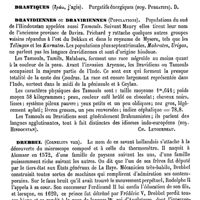 0570 - Page 566 - Draper (Les deux) [L. Hahn] / Drasse. Voy. Araignées / Drastiques. Voy. Purgatifs [Amédée Dechambre] / Dravidiennes ou Draviriennes (Populations) [Ch. Letourneau] / Drebbel (Cornelius van) [L. Hahn]