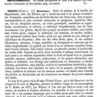 0576 - Page 572 - Driessen (Les deux) [L. Hahn] (bibliographie) / Drimyrrhizées [G. Planchon] / Drimys (Forst.) / Botanique [H. Baillon]