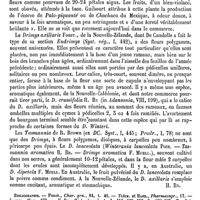 0578 - Page 574 - Drimys (Forst.). Botanique [H. Baillon] (bibliographie) / Emploi [Bazile Féris]