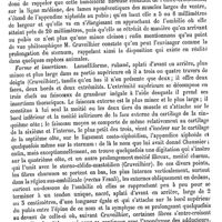 0582 - Page 578 - Droits (Muscle droit antérieur de l'abdomen) [J. Aubry]