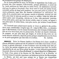 0588 - Page 584 - Droits de l'oeil (Muscles) [Amédée Dechambre] / Dromadaire. Voy. Chameau / Dromie [Ed. Lefèvre] / Dronte [E. Oustalet]