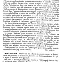 0423 - Page 419 - Addenda. Discomycètes [Ed. Lefèvre] / Dispensaires [Amédée Dechambre]