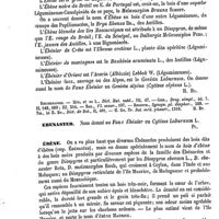 0008 - Page 4 - Ébénacées, Ébèné, Ébénier [H. Baillon] (bibliographie) / Ebenaster [G. Planchon] / Ébène [G. Planchon]
