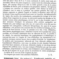 0035 - Page 31 - Échaillon (Haute-Savoie) (Eau minérale) [A. Rotureau] / Échaillon (Isère) (Eau minérale d') [A. Rotureau]