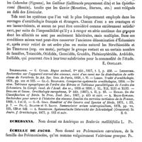 0047 - Page 43 - Échassiers [E. Oustalet] (bibliographie) / Echebanna [G. Planchon] / Échelle de Jacob [G. Planchon] / Échelles Optométriques [Giraud-Teulon]