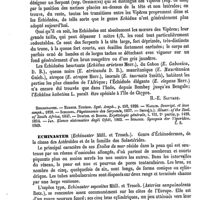 0062 - Page 58 - Échidné [E. Oustalet] (bibliographie) / Échidnée [H.-E. Sauvage] / Echinaster [Ed. Lefèvre] / Échinides [Ed. Lefèvre]