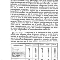 0068 - Page 64 - Échinocoques. Histoire naturelle et développement [L. Hahn, Ed. Lefèvre] / Pathologie [L. Hahn, Ed. Lefèvre]