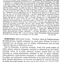 0077 - Page 73 - Échinodermes [Ed. Lefèvre] (bibliographie) / Échinoïdes [Ed. Lefèvre]