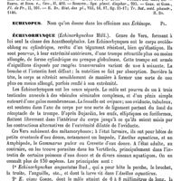 0083 - Page 79 - Échinops (L.) [H. Baillon] (bibliographie) / Echinopus [G. Planchon] / Échinorhynque [L. Hahn, Ed. Lefèvre]