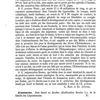 0084 - Page 80 - Échinorhynque [L. Hahn, Ed. Lefèvre] / Échinotes [G. Planchon] / Echinus (Lour.) / Botanique [H. Baillon]