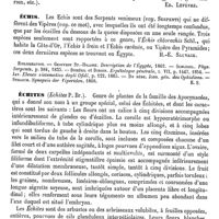 0087 - Page 83 - Echinus. Zoologie [Ed. Lefèvre] / Échis [H.-E. Sauvage] (bibliographie) / Échites [Ed. Lefèvre]