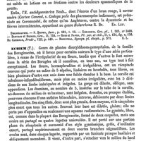 0088 - Page 84 - Échites [Ed. Lefèvre] (bibliographie) / Echium (T.) [H. Baillon]
