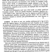 0410 - Page 406 - Économie [Amédée Dechambre] / Écorce [G. Planchon]