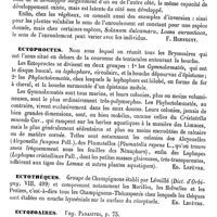0535 - Page 531 - Ectopie [F. Henneguy] / Ectoproctes [Ed. Lefèvre] / Ectothèques [Ed. Lefèvre] / Ectozoaires. Voy. Parasites / Ectromèles. Voy. Ectroméliens et Péromèles / Ectroméliens [O. Larcher]