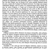 0635 - Page 631 - Effort [Amédée Dechambre] / Effraye [E. Oustalet]