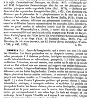 0039 - Page 35 - Ehrenberg (Christian-Gottfried) [L. Hahn] / Ehretia (L.) [H. Baillon]