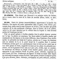 0061 - Page 57 - Elaeagnus (T.) [H. Baillon] (bibliographie) / Élaeérine [Amédée Dechambre] / Elaeis [G. Planchon]