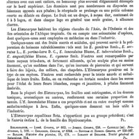 0062 - Page 58 - Elaeis [G. Planchon] (bibliographie) / Élaène. Voy. Nonylène / Elaeocarpus [G. Planchon] / Elaeococca [G. Planchon]