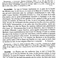 0067 - Page 63 - Élanion [E. Oustalet] (bibliographie) / Élanoïde [E. Oustalet] / Élaphe [H.-E. Sauvage]