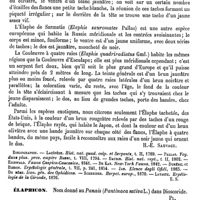 0068 - Page 64 - Élaphe [H.-E. Sauvage] (bibliographie) / Élaphicon [G. Planchon] / Élaphion [G. Planchon] / Élaphoboscum [G. Planchon]