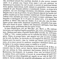 0069 - Page 65 - Élaphoboscum [G. Planchon] (bibliographie) / Élaphomycètes [Ed. Lefèvre]