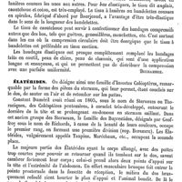 0101 - Page 97 - Élastique (Élément, tissu et système) [Ch. Robin] / Élastiques (Bandages) [Amédée Dechambre] / Élatérides [A. Laboulbène]