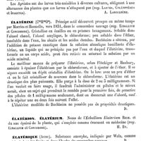 0102 - Page 98 - Élatérides [A. Laboulbène] / Élatérine [Amédée Dechambre] / Élatérion, Élatérium [H. Baillon] / Élatérique (Acide) [Amédée Dechambre] / Élatine / Chim. [Amédée Dechambre] / Botaniq. [H. Baillon]