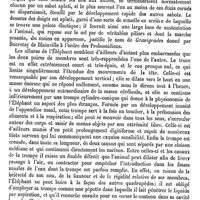 0412 - Page 408 - Éléosélinum [G. Planchon] (bibliographie) / Éléphant [E. Oustalet]