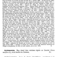 0555 - Page 551 - Éléphantiasis (Les) [Brassac] (bibliographie) / Éléphantis [G. Planchon] / Éléphantopus [G. Planchon]