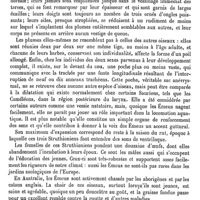 0041 - Page 37 - Émeu [E. Oustalet] (bibliographie)