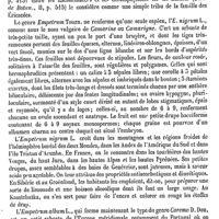 0054 - Page 50 - Empetrum [Ed. Lefèvre]
